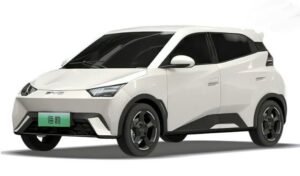 BYD DOLPHIN MINI 2026
